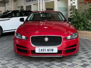 XF