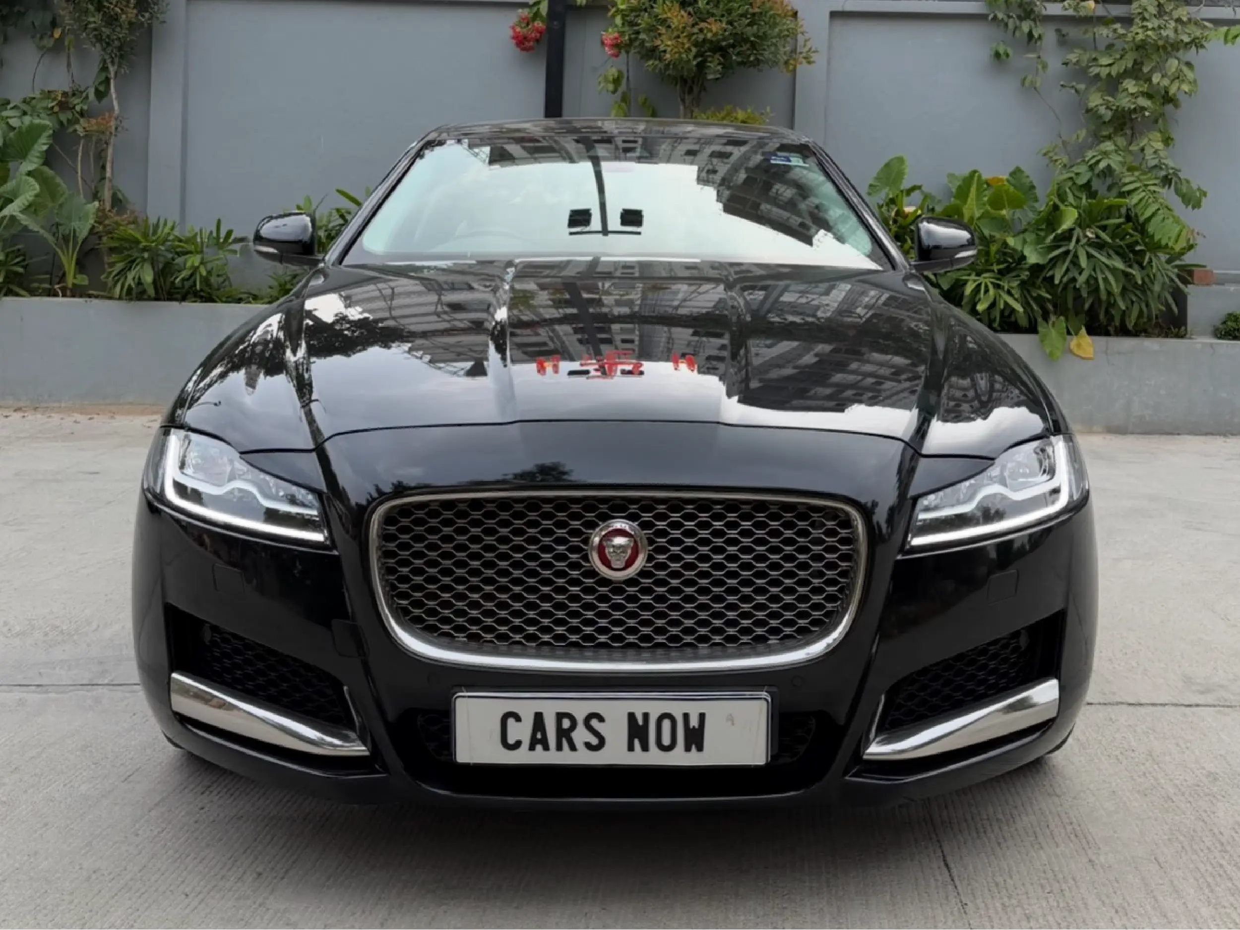 Jaguar XF-1